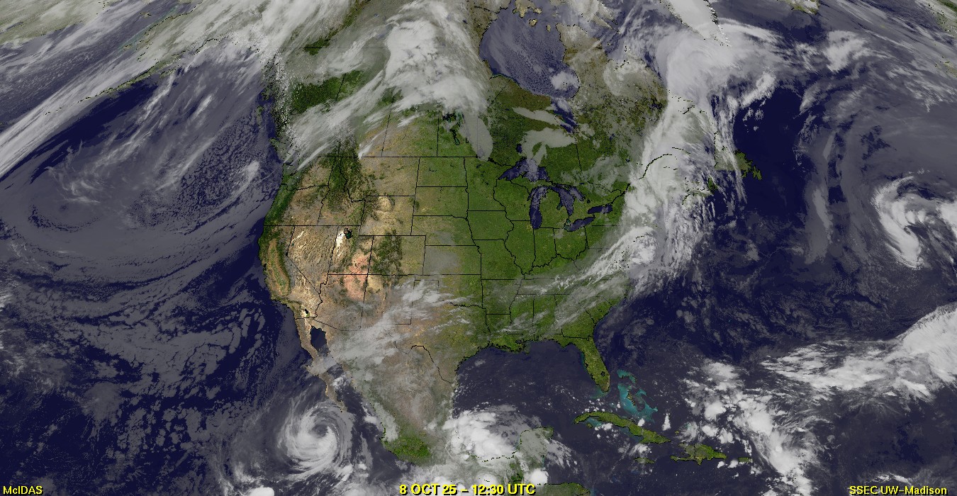 Live Satellite