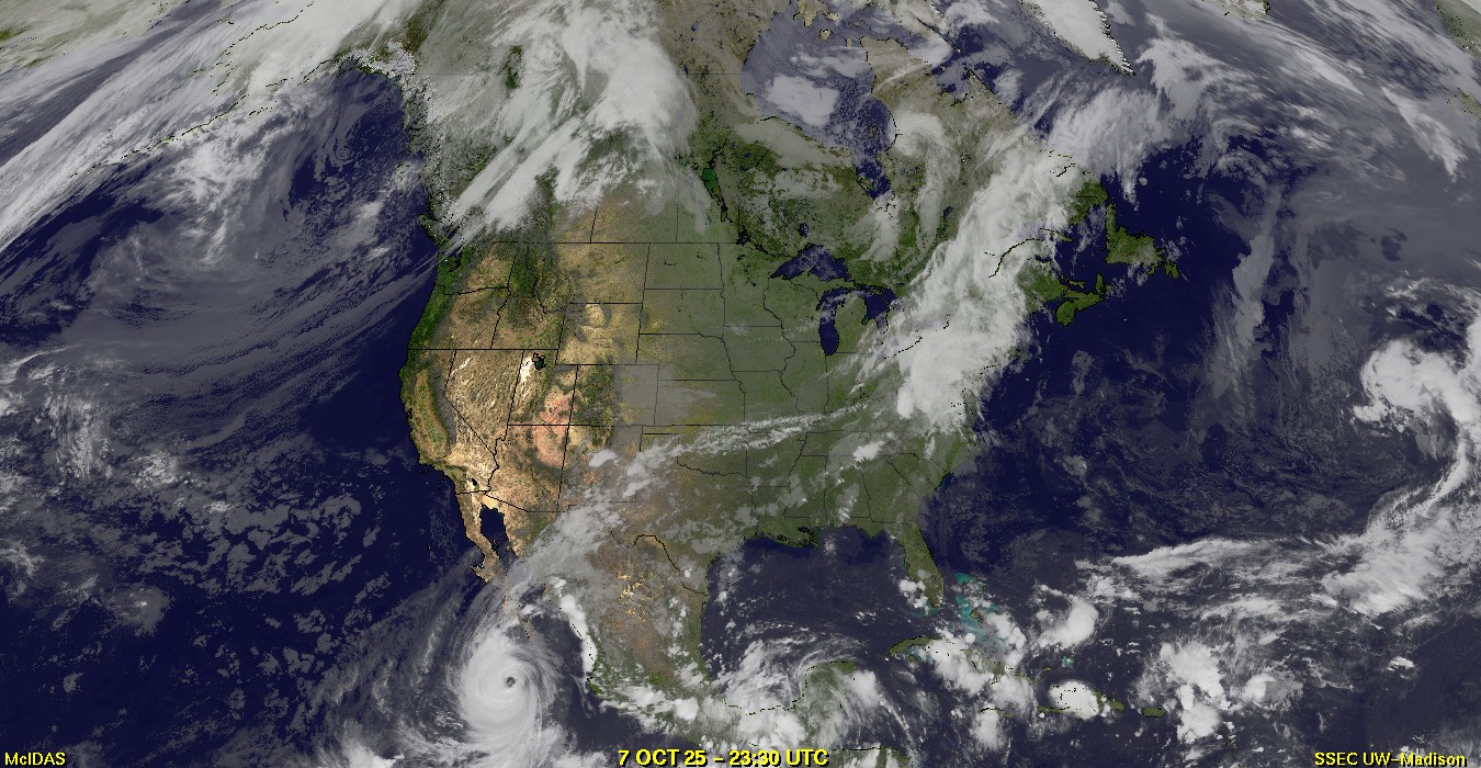 Live Satellite