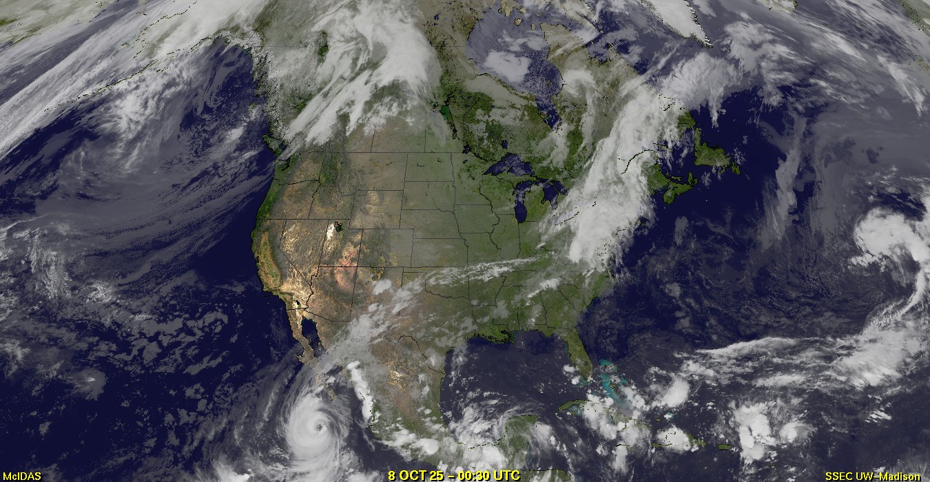 Live Satellite