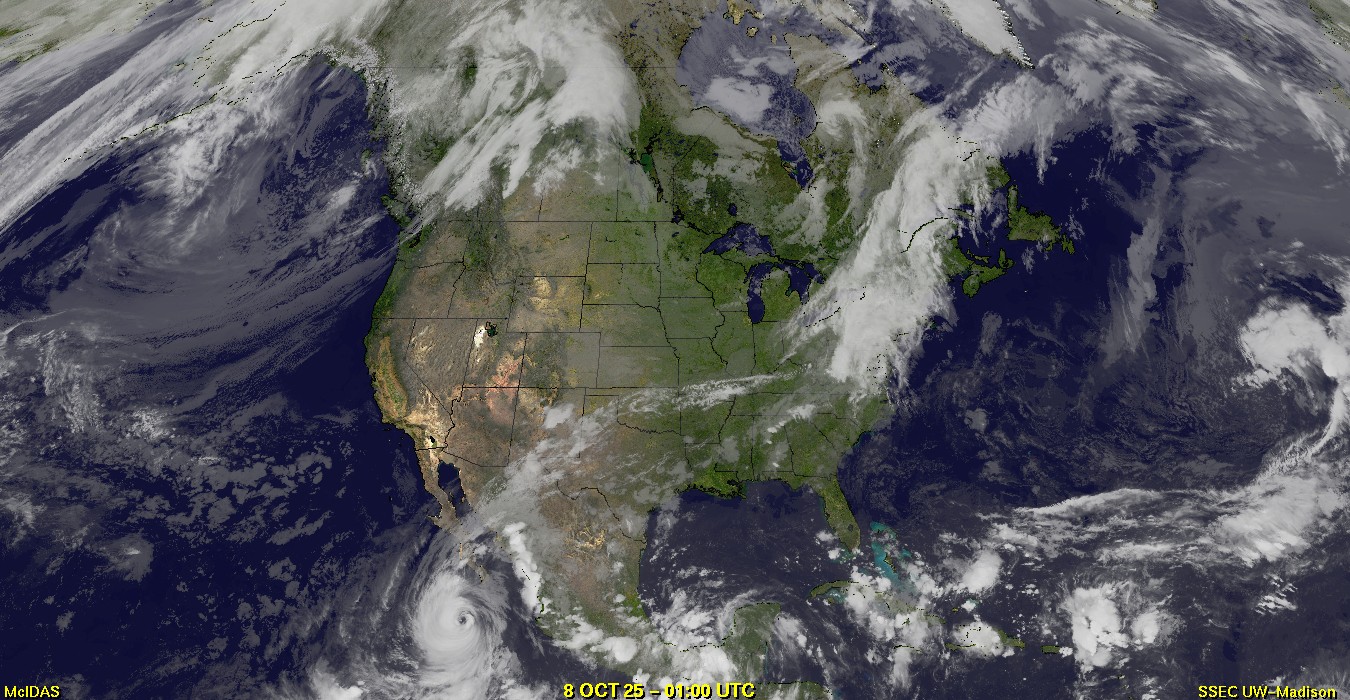 Live Satellite
