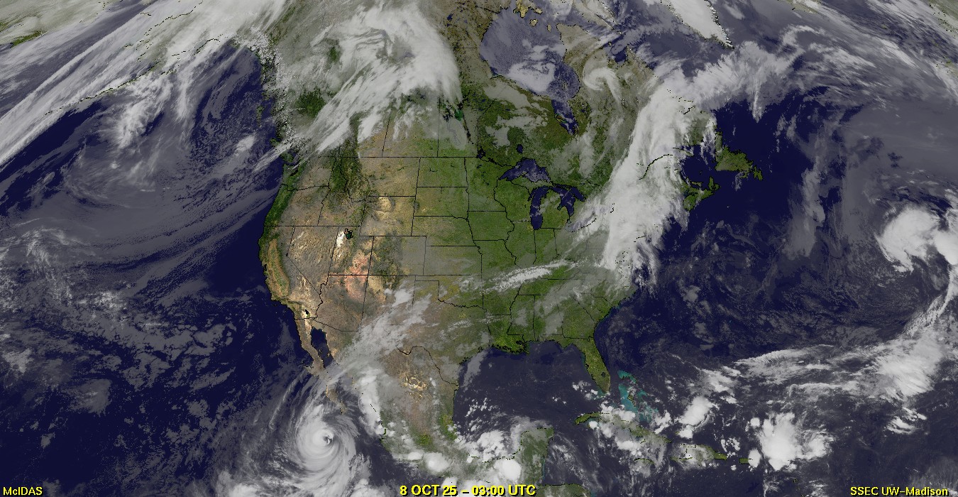 Live Satellite