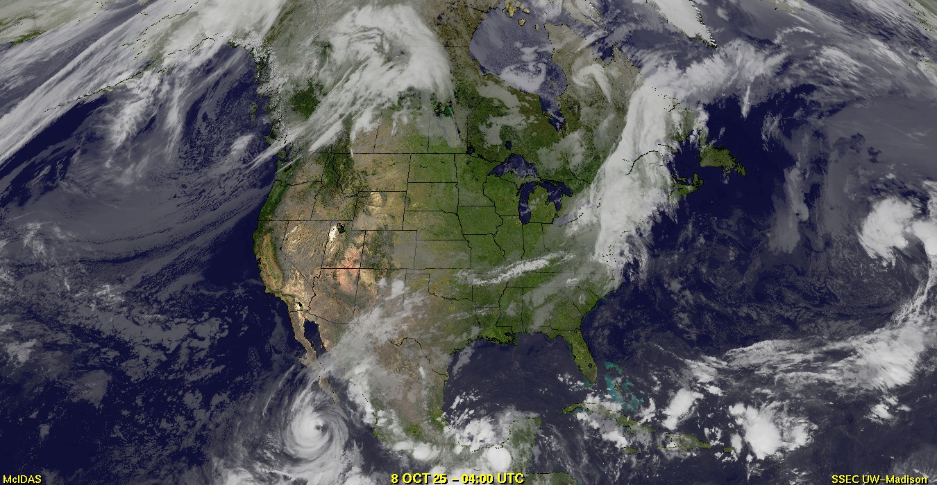 Live Satellite