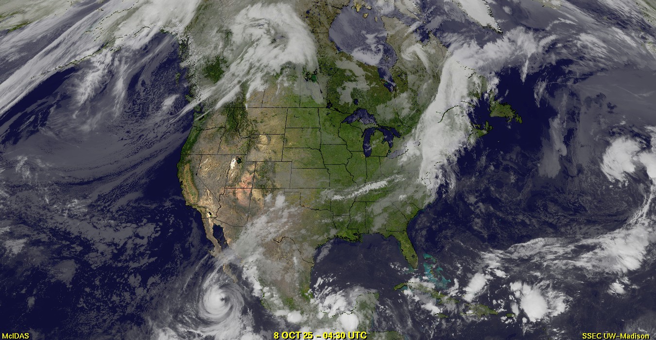Live Satellite