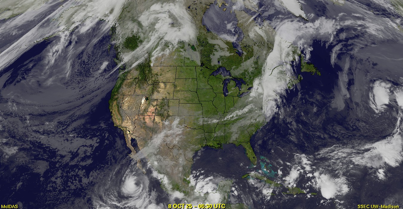 Live Satellite