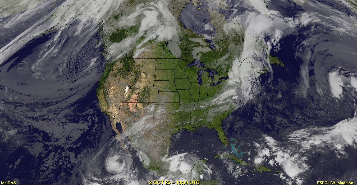 Live Satellite