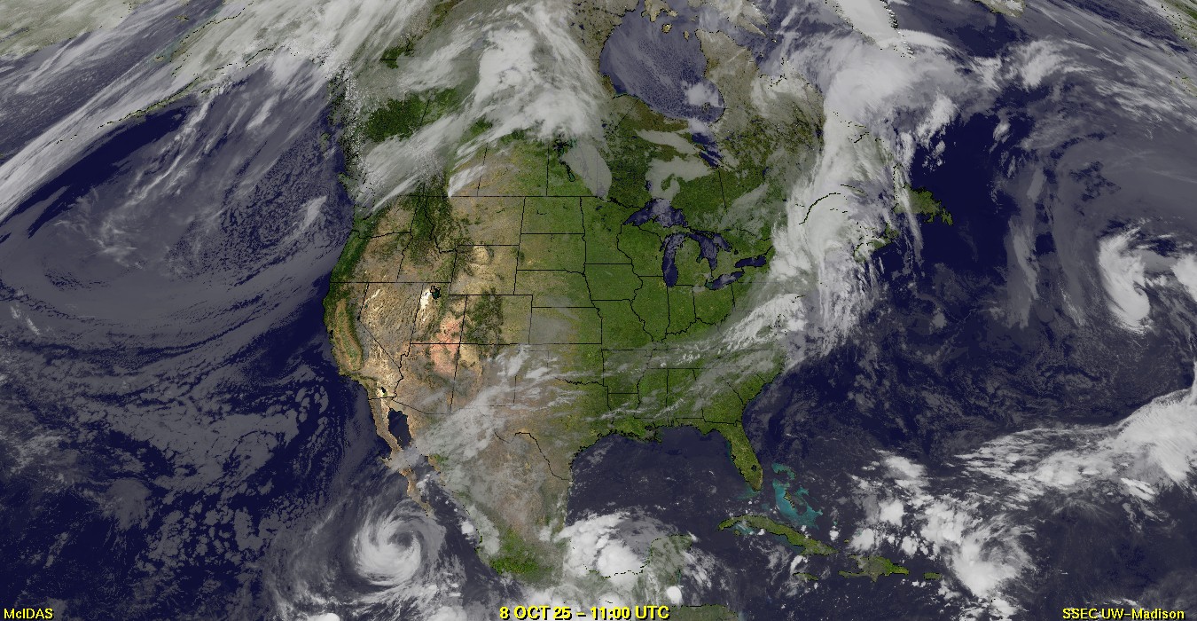 Live Satellite