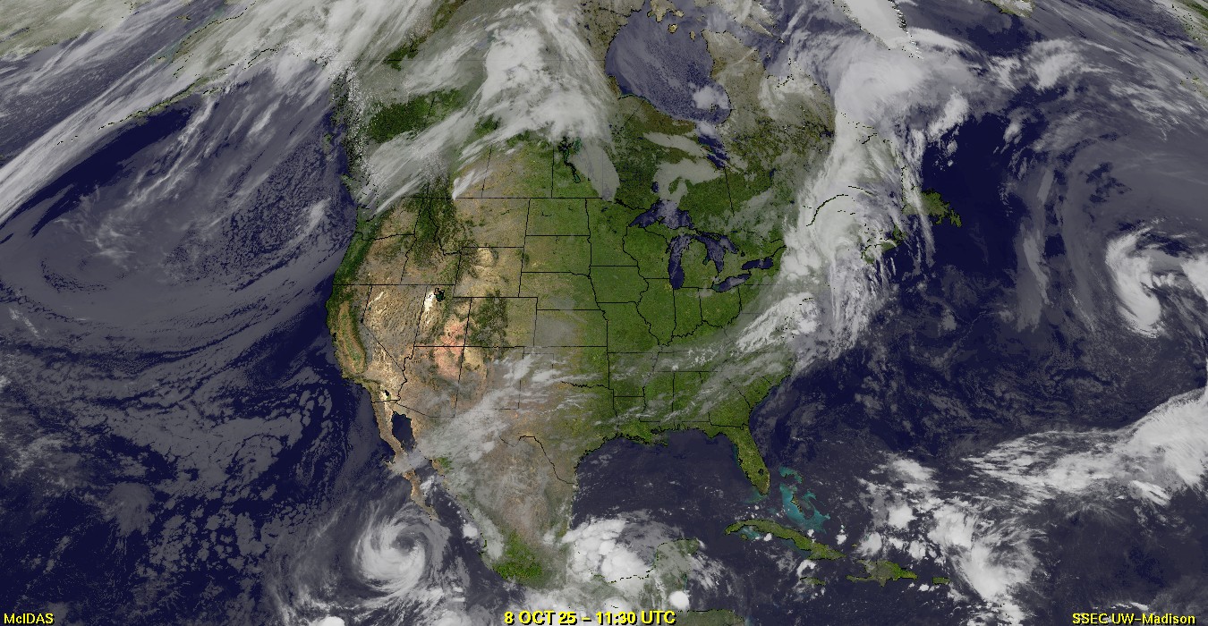Live Satellite
