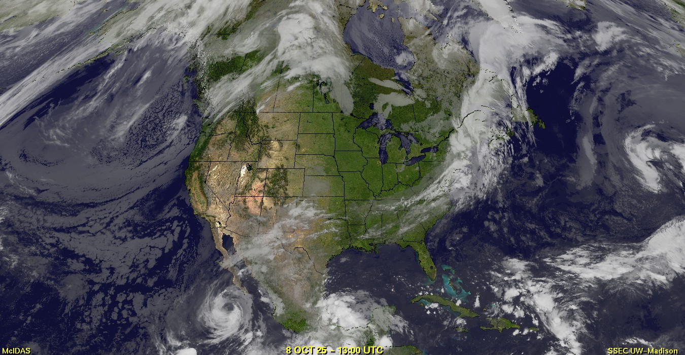 Live Satellite