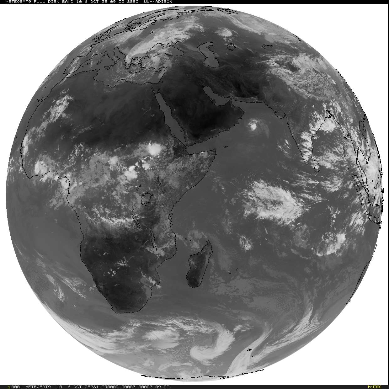 Live Satellite