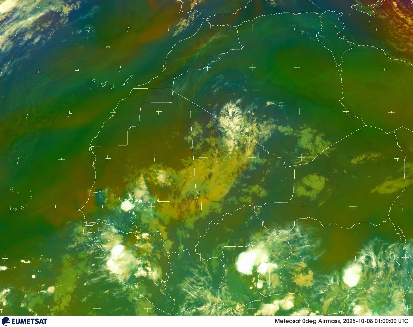Live Satellite