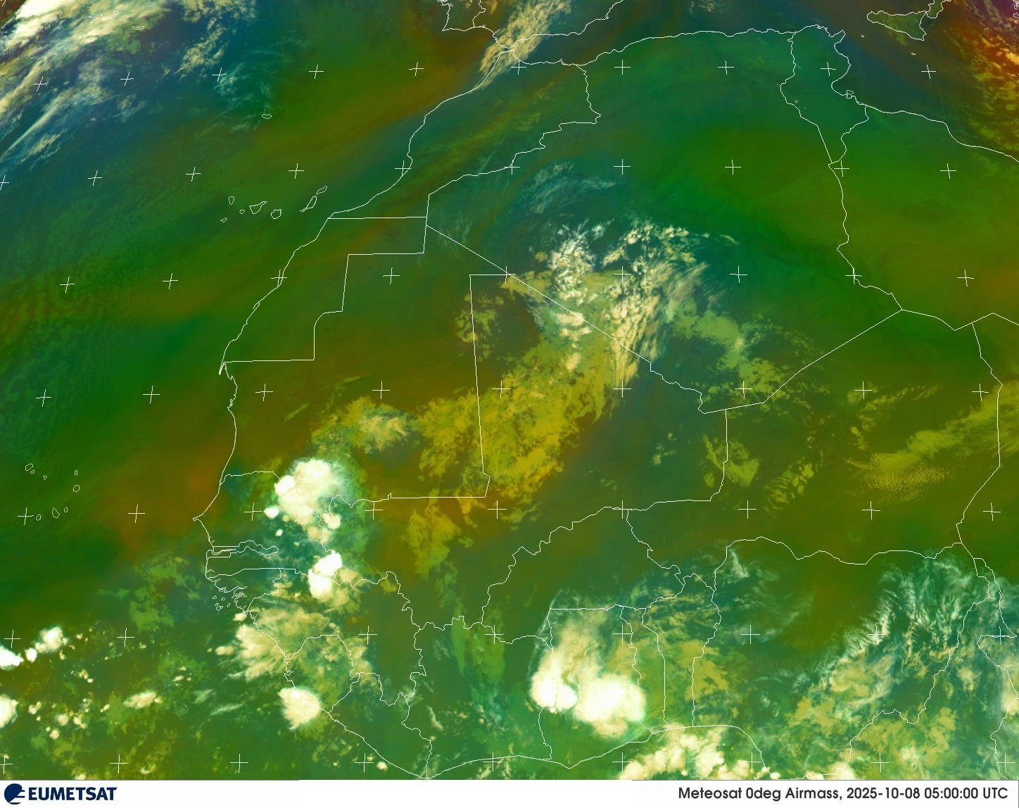 Live Satellite
