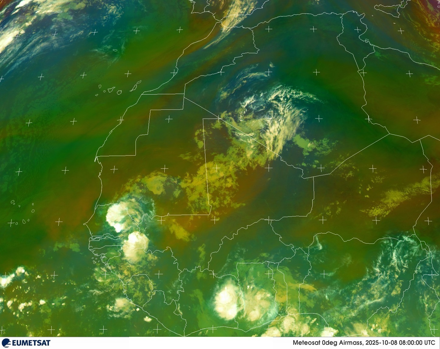 Live Satellite