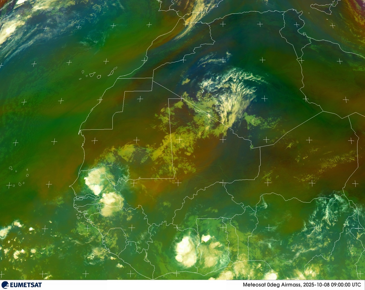 Live Satellite