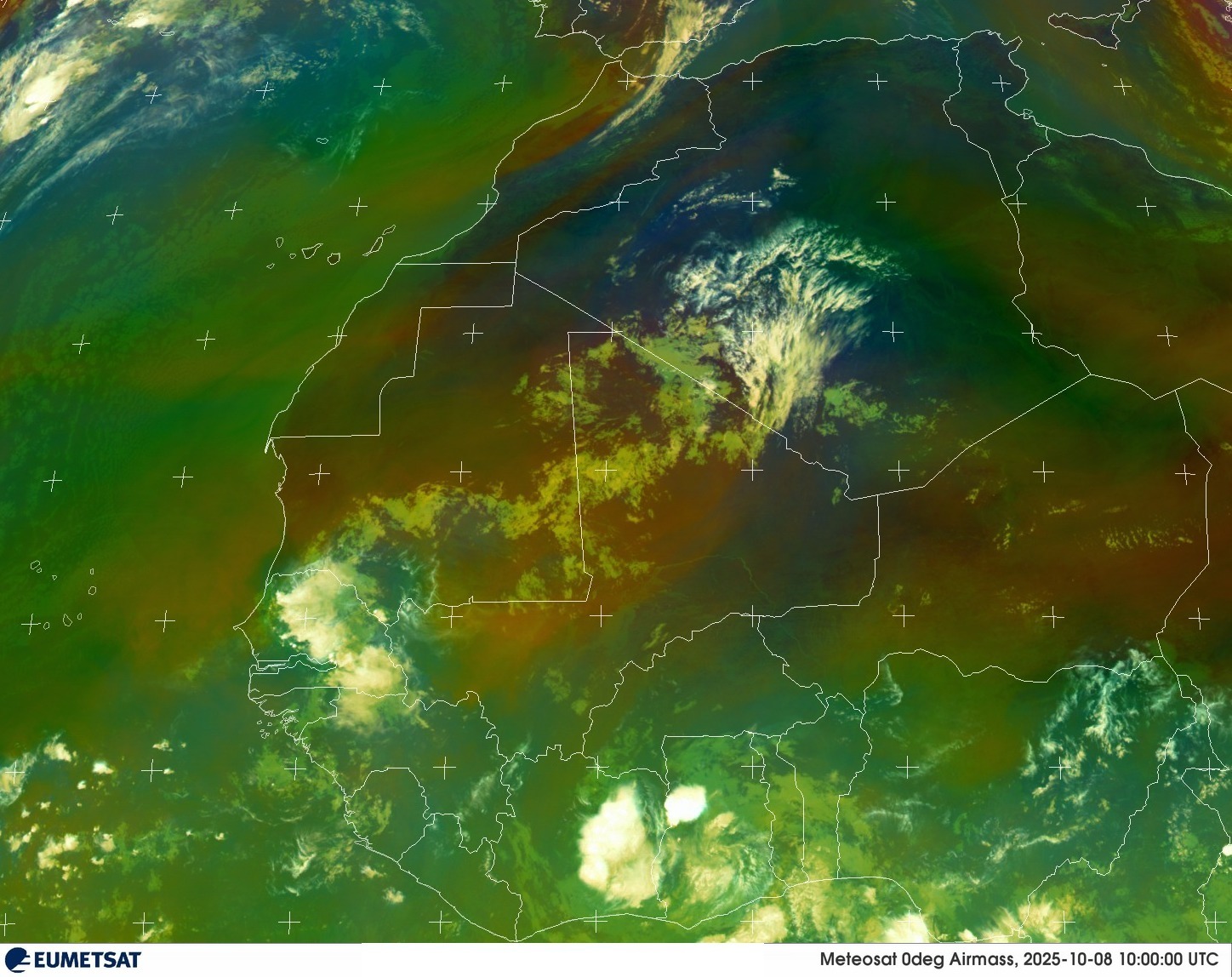 Live Satellite