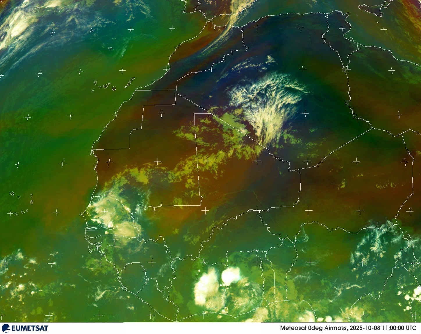 Live Satellite