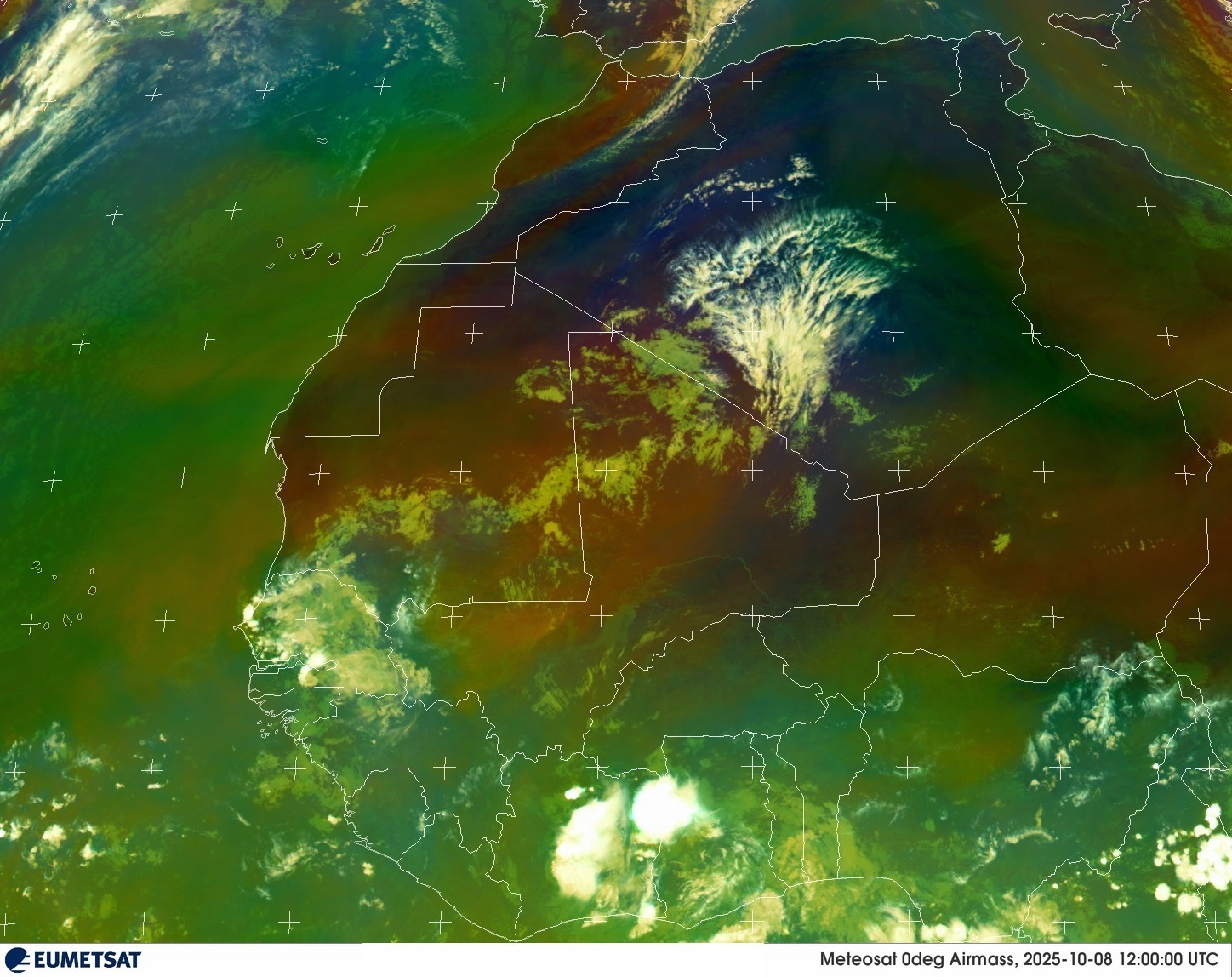 Live Satellite