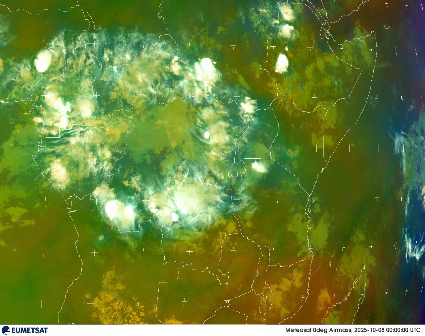 Live Satellite