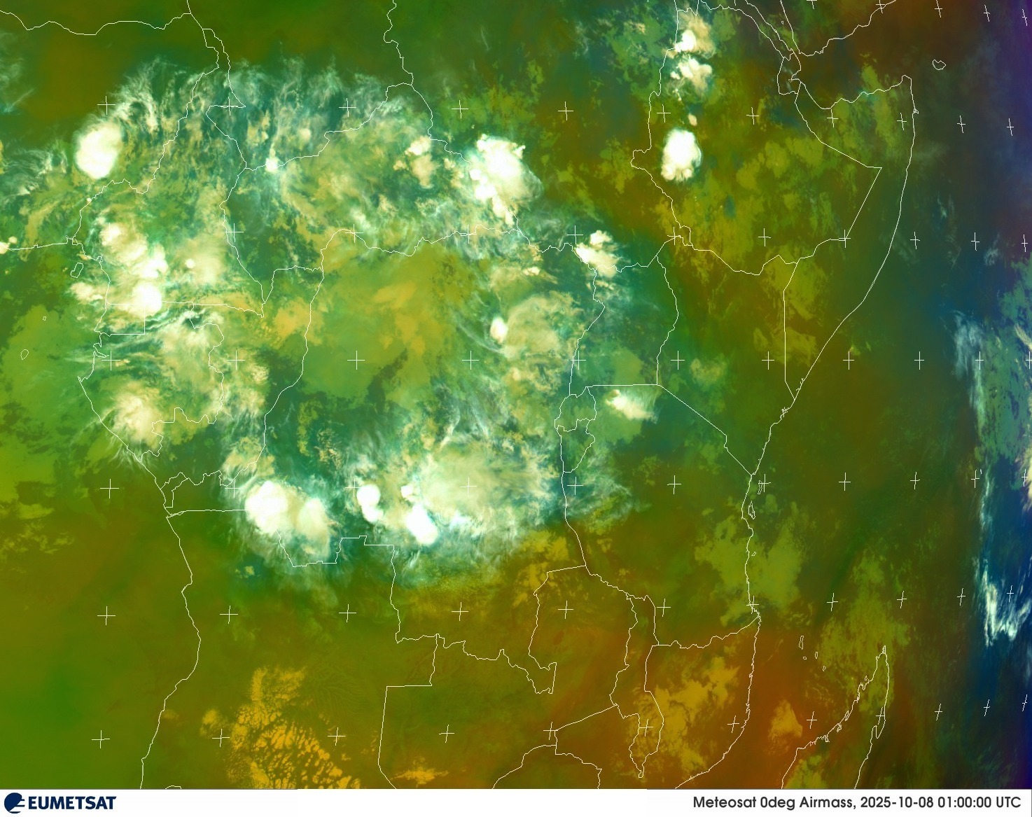 Live Satellite