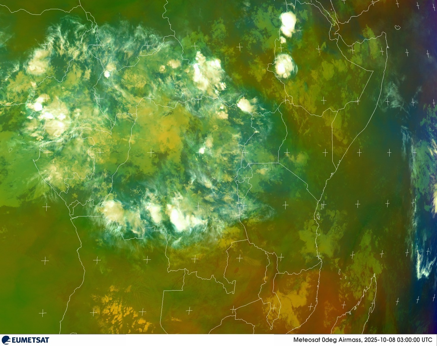 Live Satellite