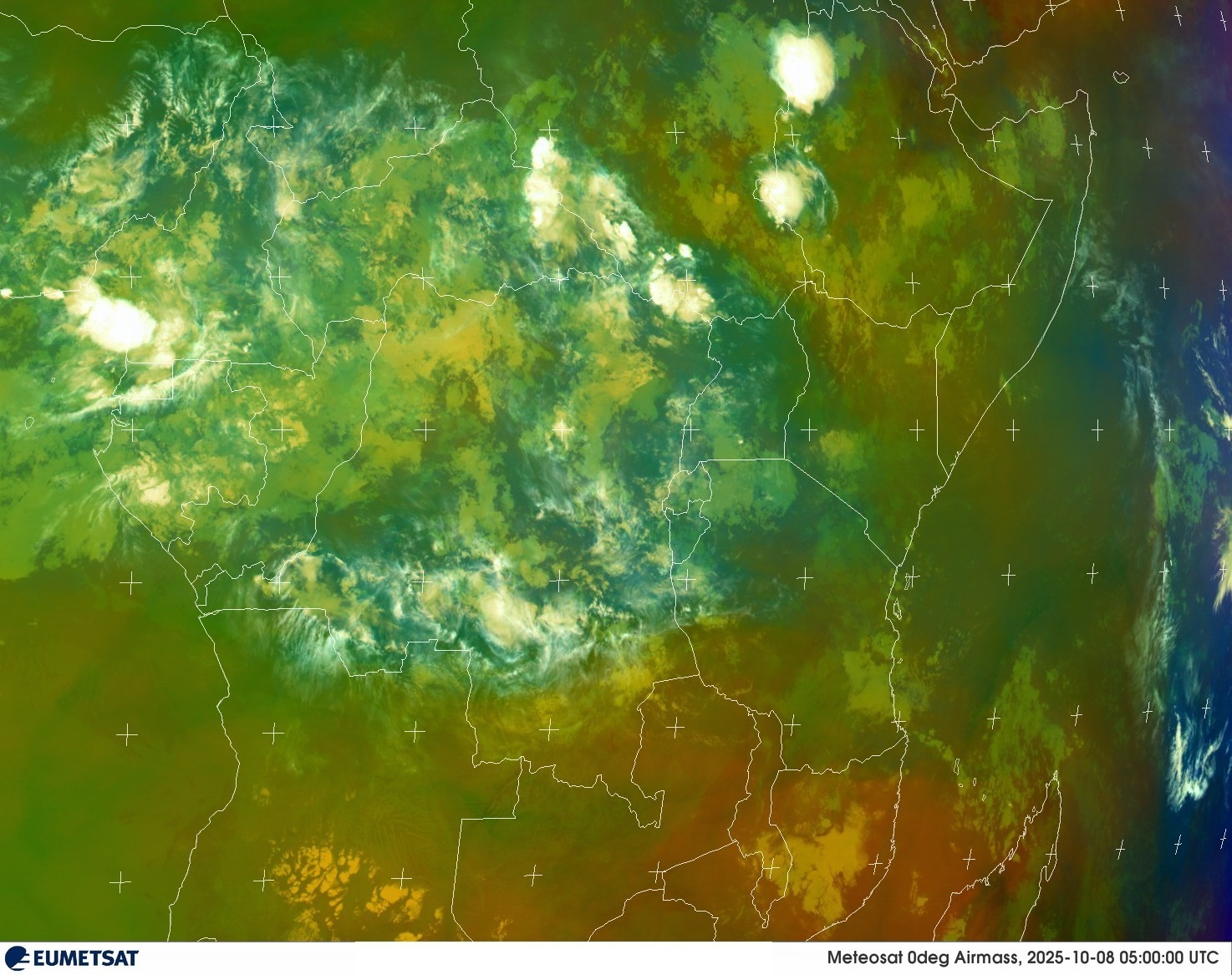Live Satellite