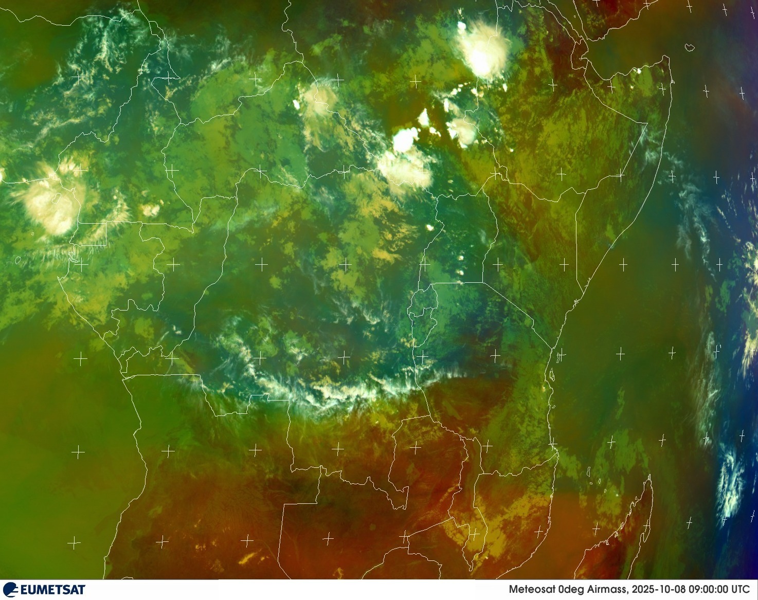 Live Satellite
