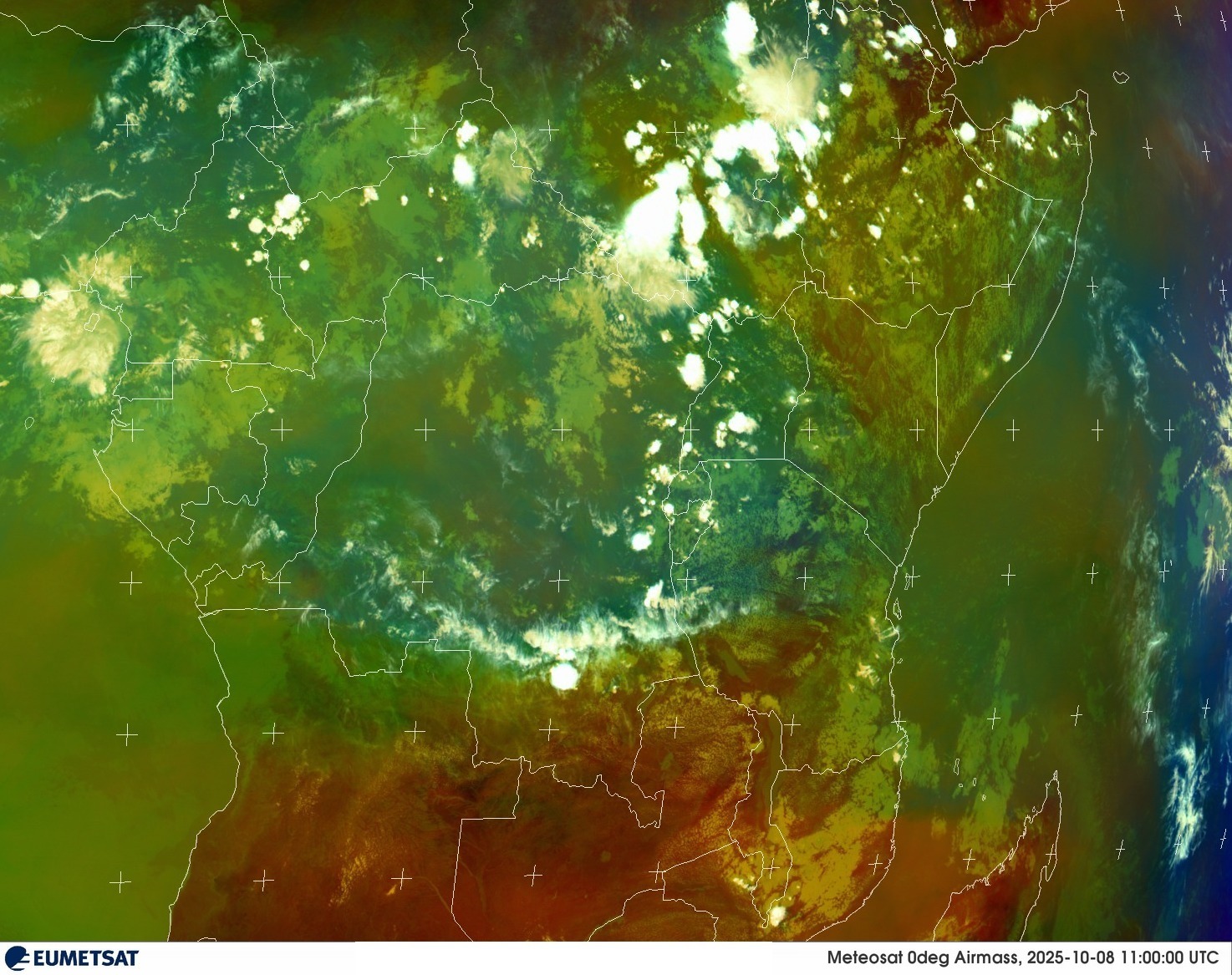 Live Satellite