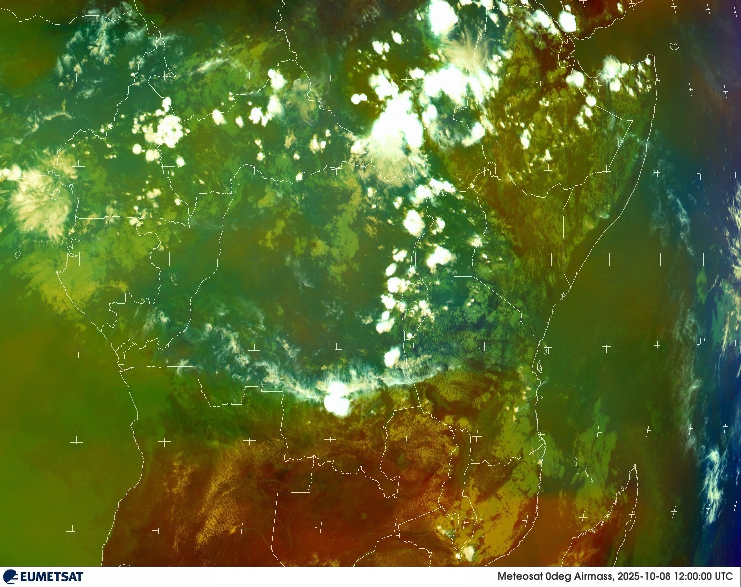 Live Satellite